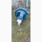 Запчасти дизельних двигунів в Київ, Черкаси, Хмельницький, Вінниця, Кривий Ріг, Дніпро, Одеса - фото № 19