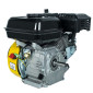 Двигатель на мотоблок с газовым редуктором Кентавр ДВЗ-210БГ - фото № 4