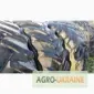 Агрошины б/у michelin, goodyear, continental r15-r48 на комбайн, трактор, Киев - фото № 3