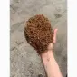 Опт и розница Табак Гильзы Машинки Берли Вирджиния Махорка Мальбро Дюбек Руно - фото № 6