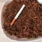 Продам табак лучшего качества - фото № 1