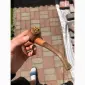 Табак качественный. На любой вкус от крепкого до легкого. - фото № 2