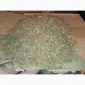 Зелені трьохцвєтка відходи з листа хлопя табака куплю по 200грн. сорт любий - фото № 1