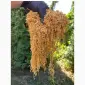 Уважаемые покупатели - фото № 2