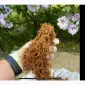 Уважаемые покупатели - фото № 17