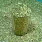 Продам махорку оптом от мешка ≈13 кг - фото № 1