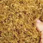 Крепкий табак і тютюн Новий урожай ! ВІрджінія - фото № 1