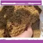 Табак не базарний ! а свіженький новий урожай після ферментацції - фото № 1
