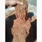Продам хороший тютюн - фото № 1