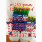 Продам термостойкий ароматизований консервант для обробки тютюну та тютюну - фото № 1