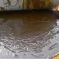 Фуз соняшниковий - фото № 1