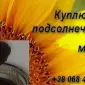 Соевый фуз подсолнечного масла куплю Львов - фото № 1