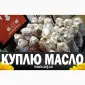 Куплю отработанное масло после фритюра - фото № 6