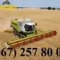 Оказываем услуги уборки урожая по всей Украине - фото № 1