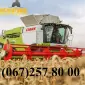 Зернозбиральні комбайни (ОРЕНДА) - фото № 1