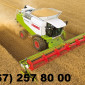 Claas Lexion, John-Deere, New Holland, Case на уборку зерновых - фото № 1