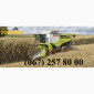 АРЕНДА Claas Lexion, John-Deere, New Holland, Case на уборку зерновых и масличных культур - фото № 1