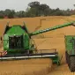 Уборка урожая комбайнами Одесса. Услуги уборки - фото № 2