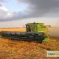 Уборка урожая зерна комбайном Винница - фото № 5