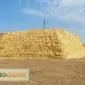 Найму или возьму в аренду пресс-подборщик тюковый Херсонская обл - фото № 1