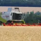 Найму комбайн в Никол.обл интересует уборка пшеницы в Николаевской обл - фото № 1