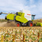 Уборка сои подсолнечника соняшника кукурузы льна Николаев Арбузинка Баштанка Березанка - фото № 1