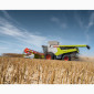 Комбайн уборка урожая услуги аренда комбайна негабарит трал Сумы Воронеж Ворожба - фото № 1
