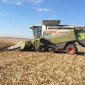 Уборка кукурузы сои подсолнечника соняшника льна Житомир Андрушевка Барановка Бердичев - фото № 1
