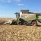 Уборка кукурудзи сої соняшника льону Житомир Андрушівка Баранівка Бердичів - фото № 1