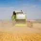 Уборка кукурузи соняшника соняшника льону сої Ладижин Вінниця Липовець Літин Немирів - фото № 1