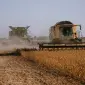 Уборка кукурудзи соняшника сої льону Івано-Франківськ Богородчани Болехів Галич - фото № 1