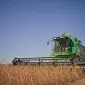 Уборка кукурузы подсолнечника соняшника сои льна Львов Белз Бобрка Борислав Броды Буск - фото № 1
