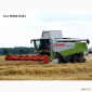 Уборка урожая 2024 года комбайнами Claas Lexion 600 - фото № 1