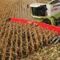 Агро-Холдинг візьме в оренду комбайни від 2008 року на збирання соняшнику та кукурудзи - фото № 1
