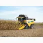 Уборка кукурузы. Аренда комбайна New Holland. Уборка кукурузы комбайном - фото № 1