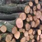 Продам Дрова!За договорной Ценой! В наличии метровка и колотые - фото № 1