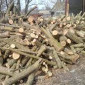 Твердопородні дрова (метровка та колоті) Договірна ціна - фото № 1
