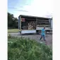 Дрова Белогородка - фото № 1