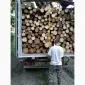 Дрова Барышевка - фото № 1