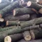 Дрова твердих порід рубані метровий кругляк купити Рожище - фото № 1