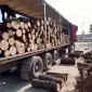Продам дрова дубовые - фото № 1