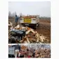 Продам дрова дуба Одесса и область - фото № 1