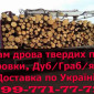 Продам Дрова твердих порід, з доставкою (Херсон, Запоріжжя.) - фото № 1
