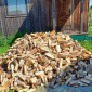 Продам дрова: дуб, сосна, береза, доставка без предоплаты - фото № 1