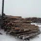 Продамм топливные пеллеты от производителя с 100 тонн - фото № 3