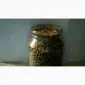 Продам бруньки смородини - фото № 3