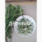 Деревій - фото № 1
