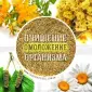 Тибетський Очищаючий Збір - фото № 2