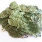 Грушанка (лист) 1кг - фото № 1