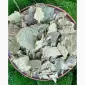 Листья березы - фото № 2